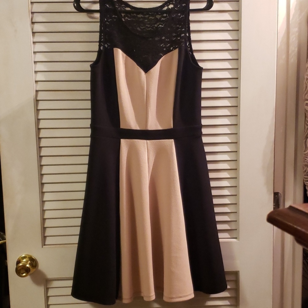 Enfocus Studio Black and Beige Fit-and-Flare Lace Panel Dress